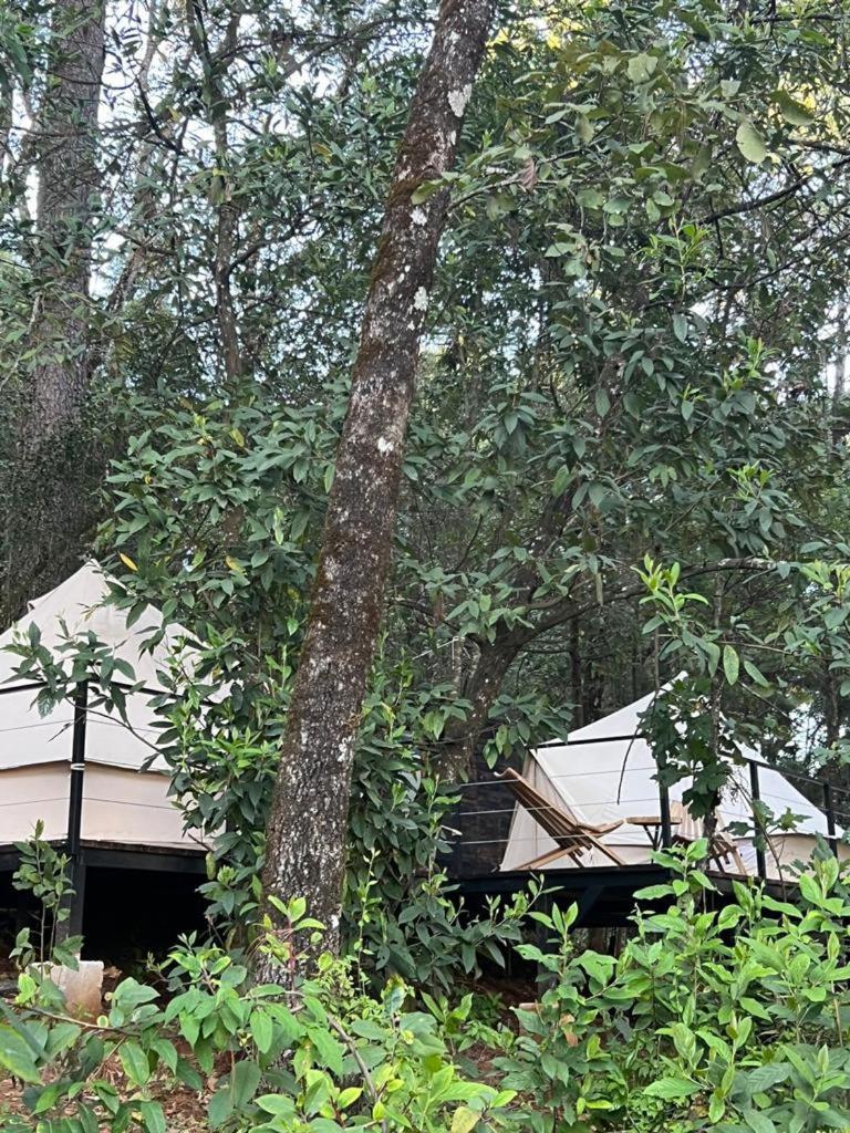 Hotel Oxu Solo Adultos Valle de Bravo Exterior foto