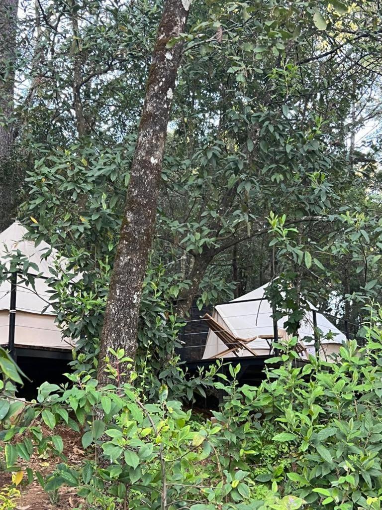 Hotel Oxu Solo Adultos Valle de Bravo Exterior foto